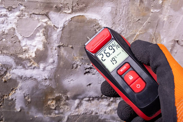 Best Affordable Mold Removal  in Lakes Of The Four Seasons, IN